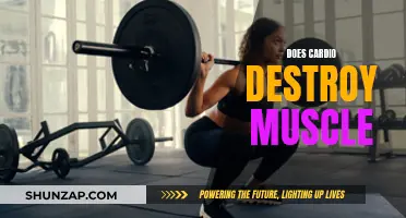 Cardio and Muscle: Friends or Foes?
