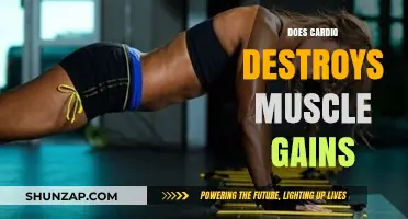 Cardio and Muscle Gains: Debunking the Myth of Muscle Loss