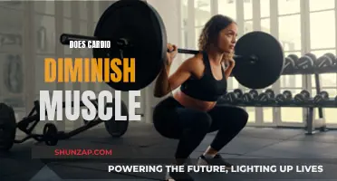 Cardio and Muscle Loss: Fact or Fiction?