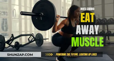 Cardio and Muscle Loss: Fact or Fiction?