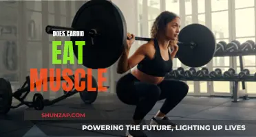 Cardio and Muscle Loss: What's the Real Deal?