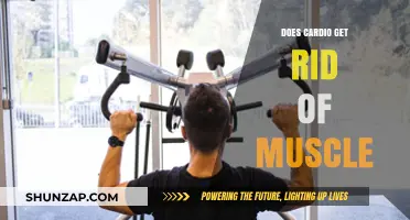 Debunking Fitness Myths: Cardio's Impact on Muscle Mass Explained