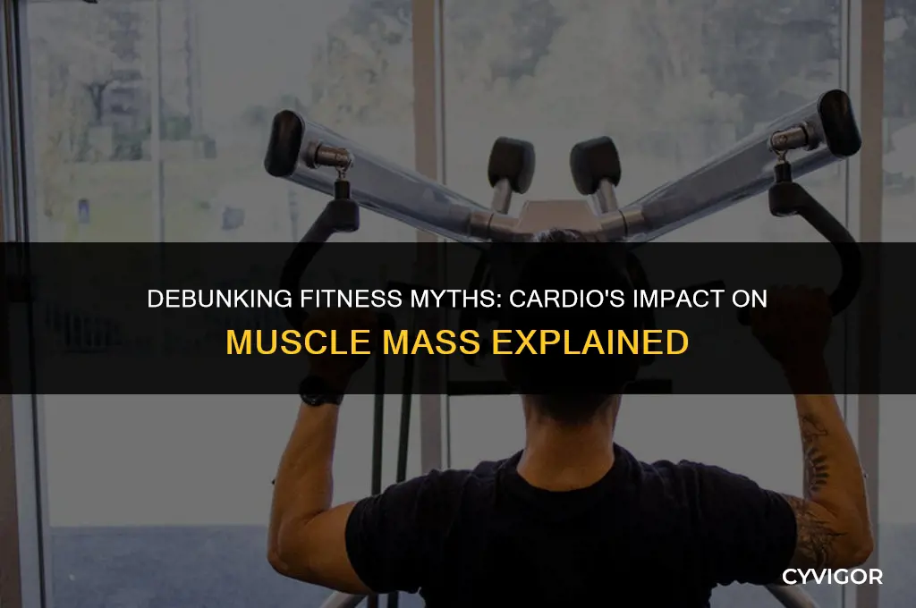 does cardio get rid of muscle