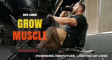 Cardio and Muscle Growth: Separating Fact from Fiction