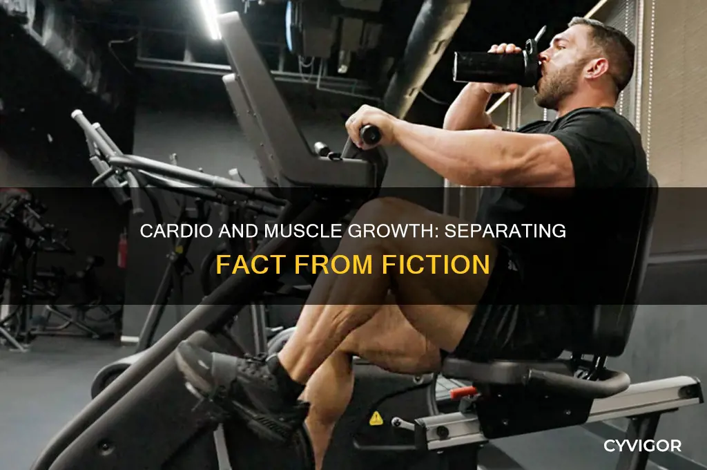 does cardio grow muscle