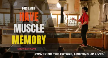 Cardio Muscle Memory: Fact or Fiction?
