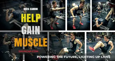 Cardio and Muscle Gain: Unlocking the Truth for Optimal Growth