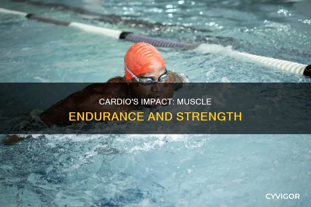 does cardio increase muscle endurance