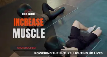 Cardio and Muscle Gain: Friend or Foe?