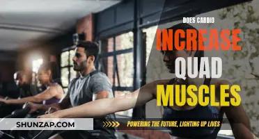 Cardio and Quad Muscles: What's the Connection?