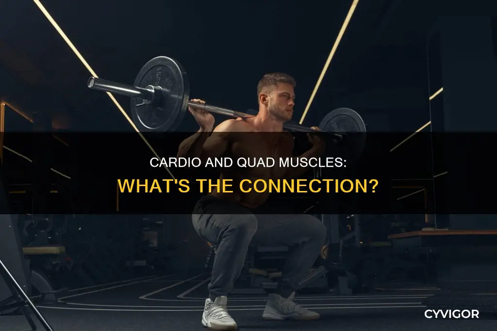 does cardio increase quad muscles