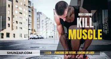 Cardio and Muscle: Friends or Foes?