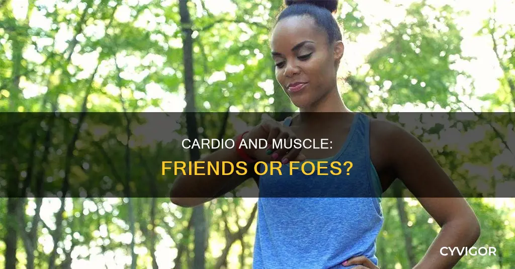 does cardio kill muscle