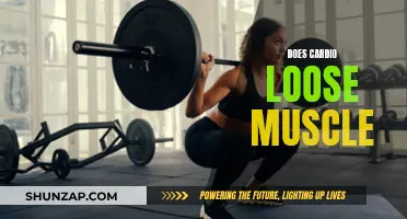 Cardio and Muscle Loss: Friends or Foes?