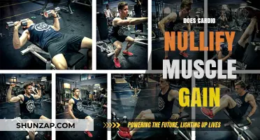 Cardio and Muscle Gain: Debunking the Myth of Nullification