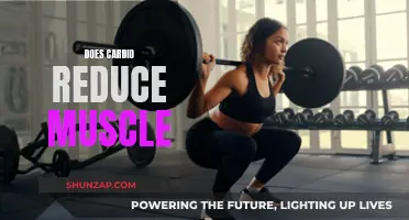 Cardio and Muscle Loss: Friends or Foes?