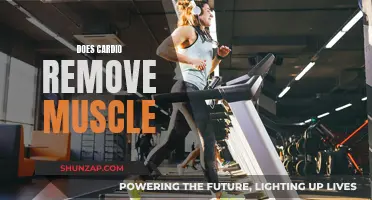 Cardio and Muscle Loss: Fact or Fiction?
