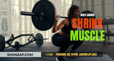 Cardio and Muscle: Friends or Foes?