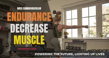 Cardio and Muscle Endurance: Friends or Foes?