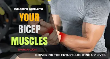 Exploring the Impact of Carpal Tunnel on Bicep Muscles: Facts and Myths