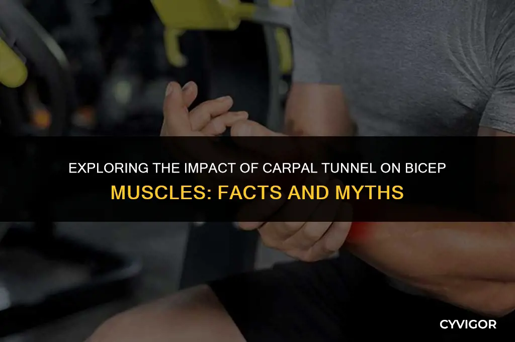 does carpal tunnel affect your bicep muscles