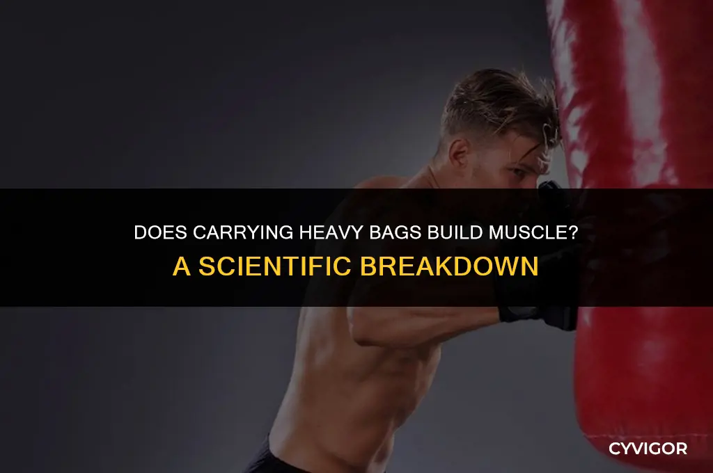 does carrying heavy bags build muscle