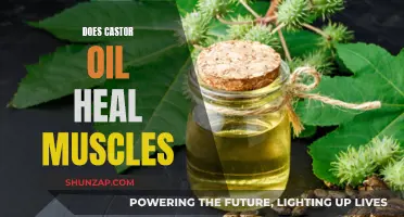 Castor Oil: Muscle Healer or Just a Myth?