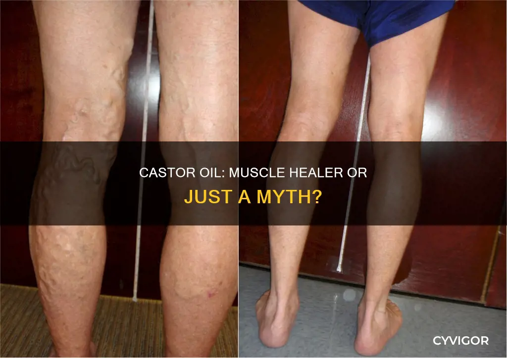 does castor oil heal muscles