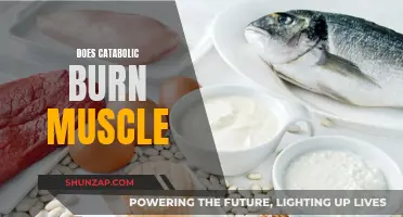 Catabolic Process: Friend or Foe to Muscle Growth?
