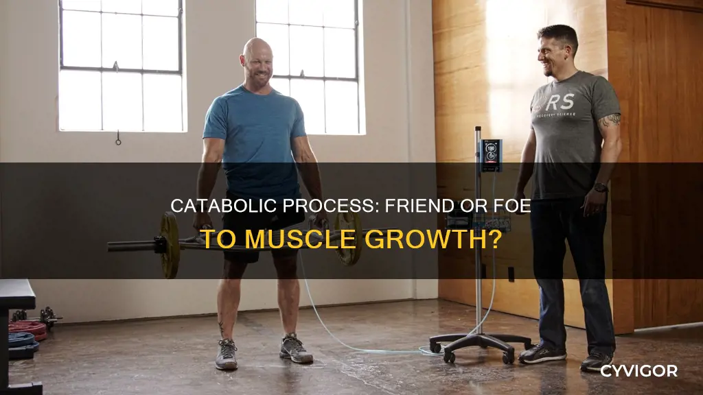 does catabolic burn muscle