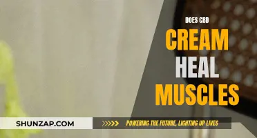 CBD Cream: Muscle Healer or Just a Placebo?