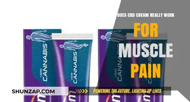 CBD Cream for Muscle Pain: Effective Relief or Just Hype?