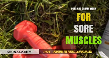 CBD Cream for Sore Muscles: Effective Relief or Just Hype?