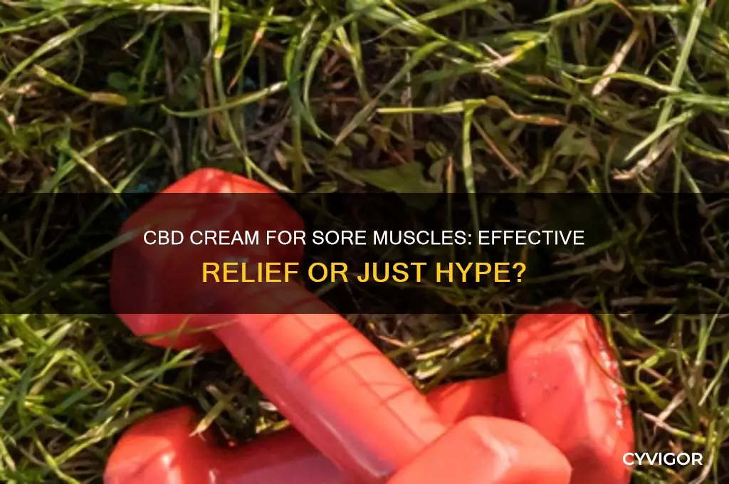 does cbd cream work for sore muscles