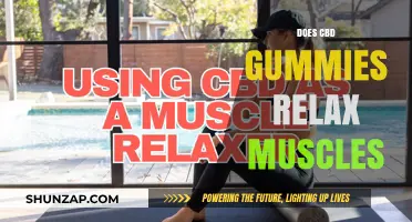 Can CBD Gummies Effectively Relax Muscles? A Comprehensive Guide