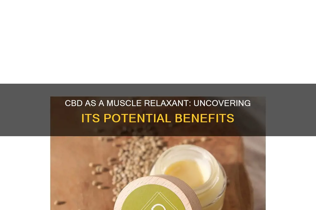 does cbd have a muscle relaxant quality