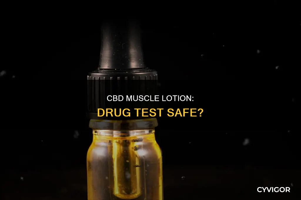 does cbd lotion for muscles cause positive drug test