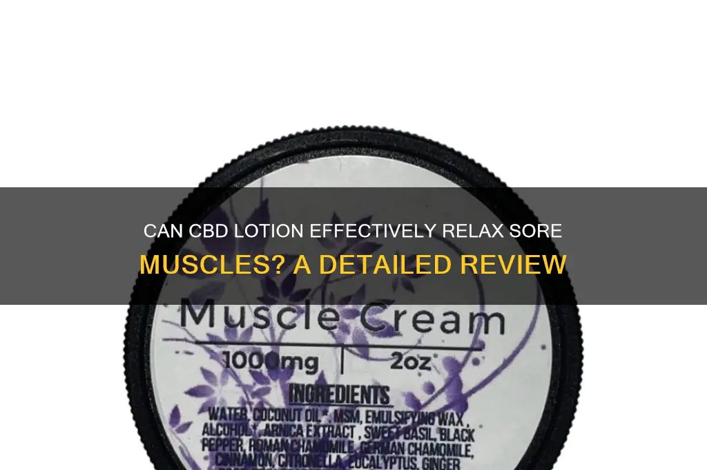 does cbd lotion relax muscles