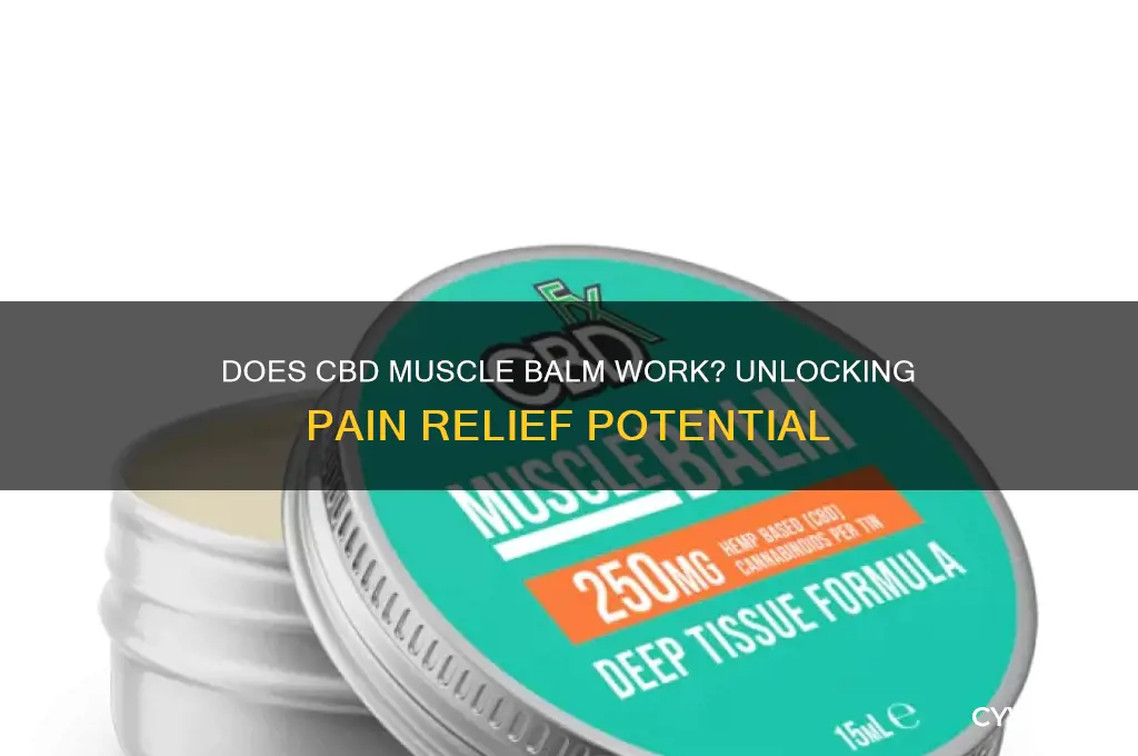 does cbd muscle balm work