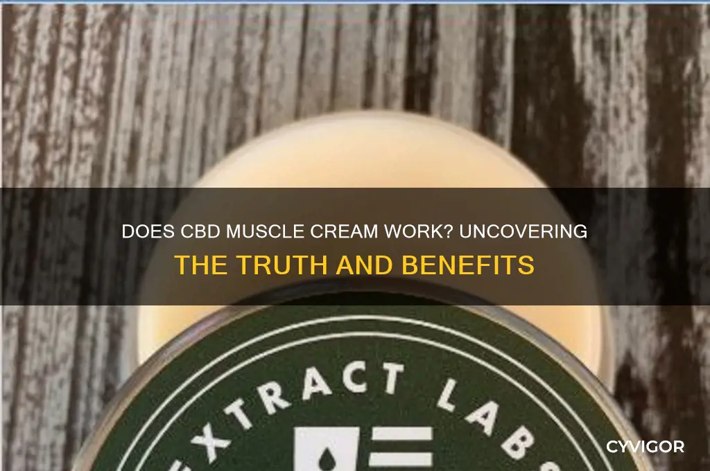 does cbd muscle cream work
