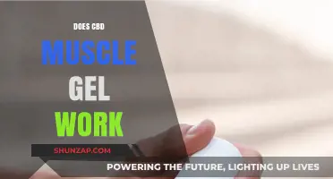 Does CBD Muscle Gel Work? Unveiling Its Effectiveness and Benefits