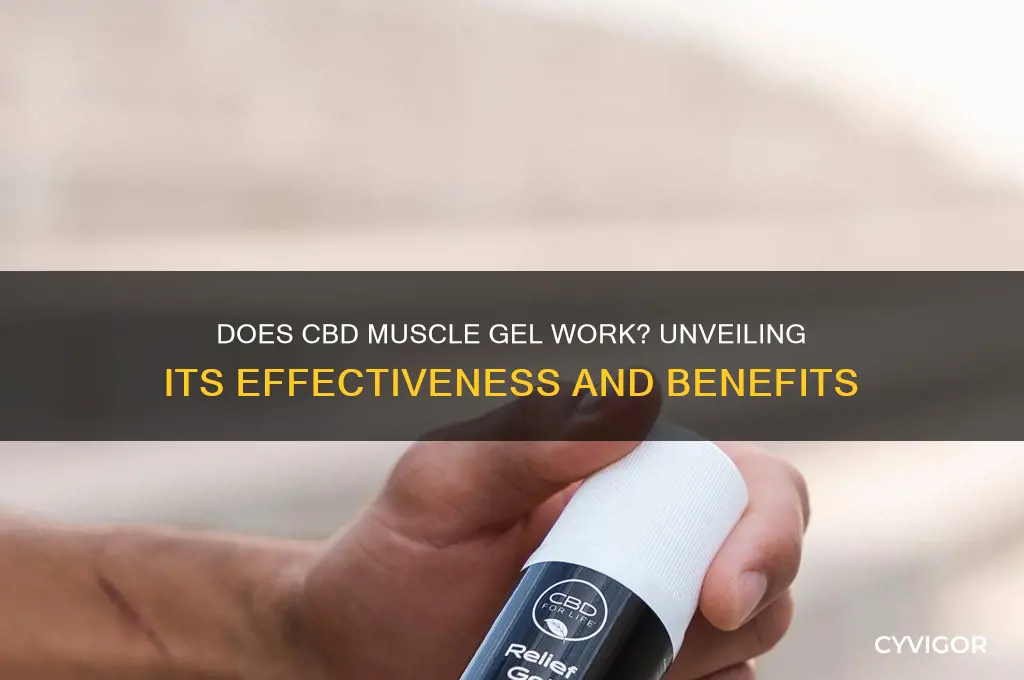 does cbd muscle gel work