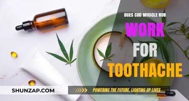 CBD Muscle Rub for Toothache: Effective Relief or Just a Myth?