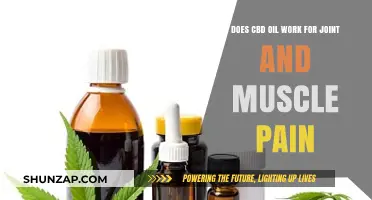 CBD Oil for Joint and Muscle Pain: Does It Really Work?