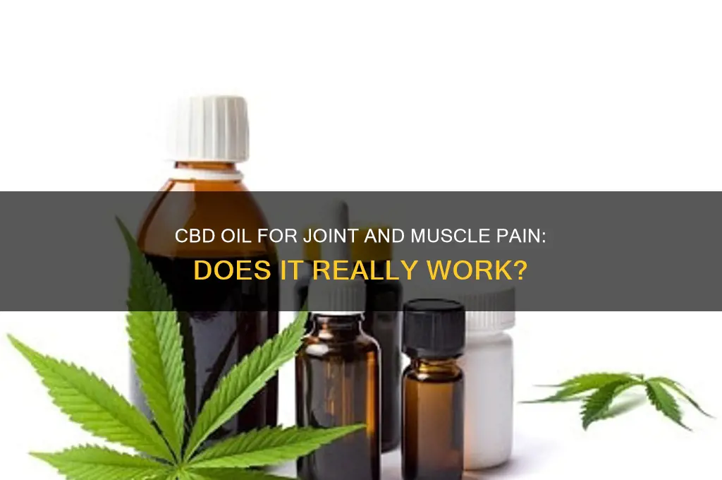 does cbd oil work for joint and muscle pain