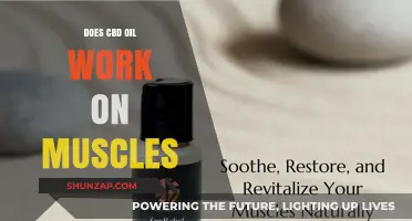 CBD Oil for Muscle Relief: Does It Really Work?