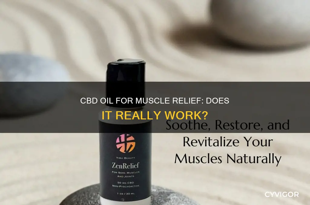 does cbd oil work on muscles
