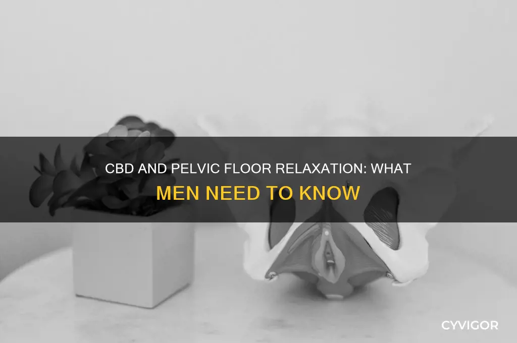 does cbd relax pelvic floor muscles male