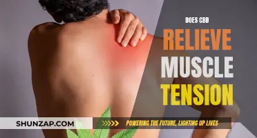 CBD for Muscle Tension: Effective Relief or Just Hype?