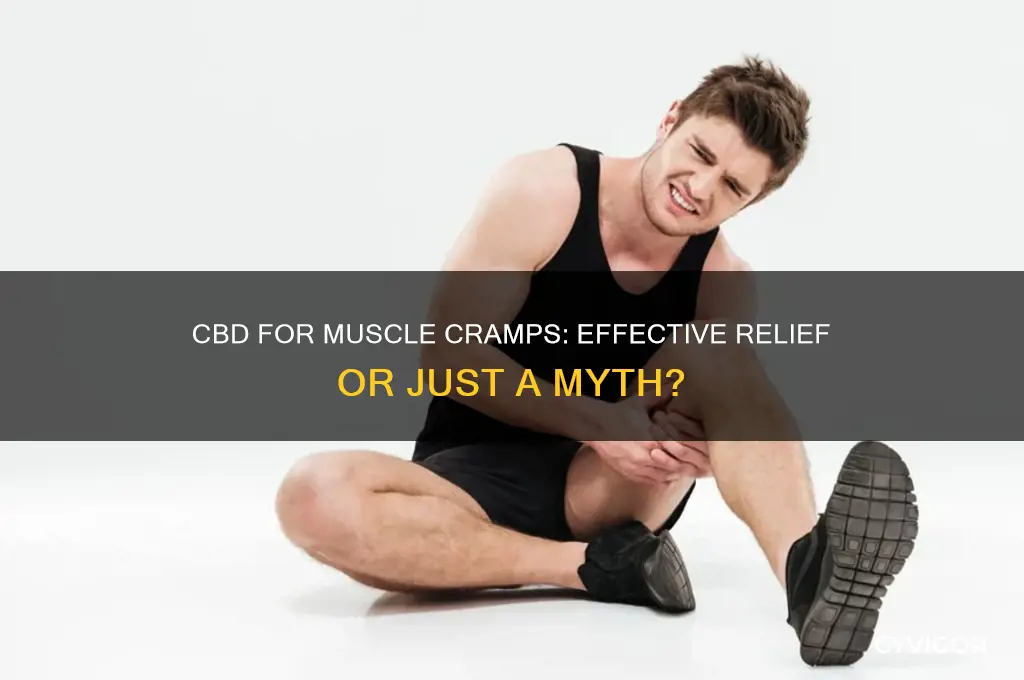 does cbd work for muscle cramps